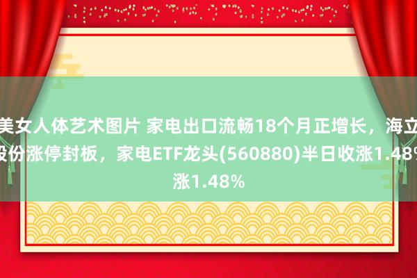 美女人体艺术图片 家电出口流畅18个月正增长，海立股份涨停封板，家电ETF龙头(560880)半日收涨1.48%