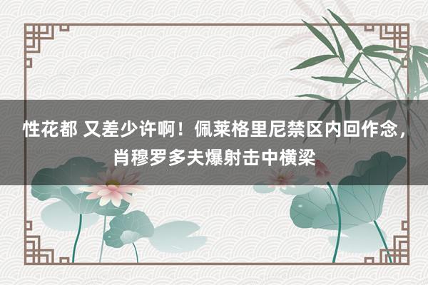 性花都 又差少许啊！佩莱格里尼禁区内回作念，肖穆罗多夫爆射击